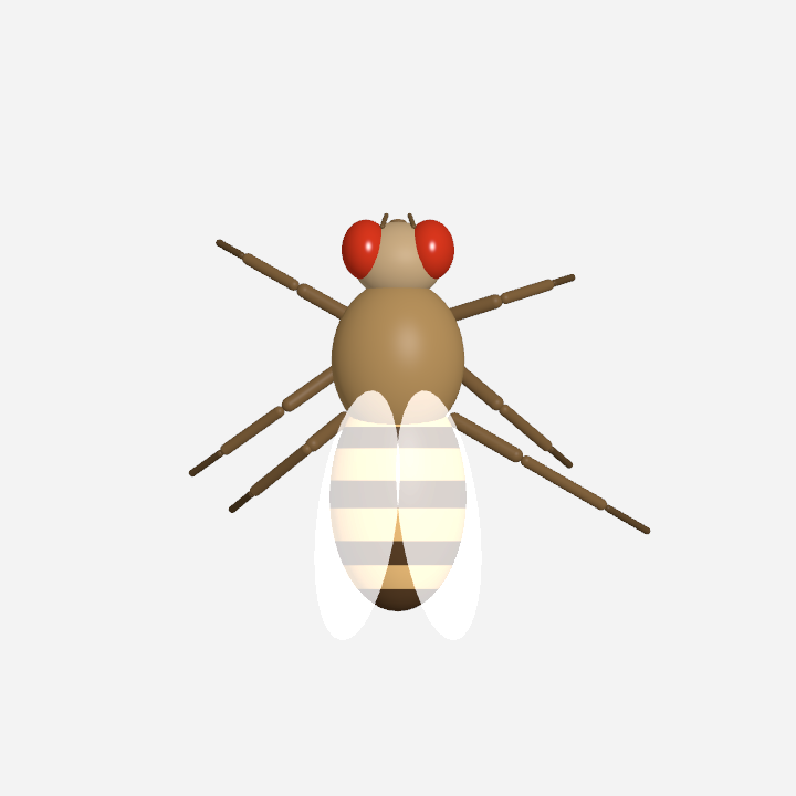 DesktopFly 3D 果蝇